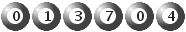 013704