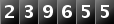 239655