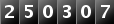 250307