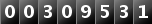 00309531