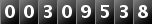 00309538