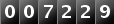 007229