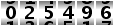025496