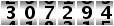307294