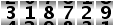 318729