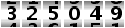 325049