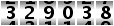 329038