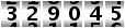 329045