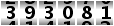 393081