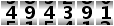 494391