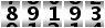 89193