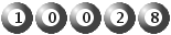 10028