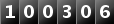 100306