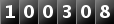 100308