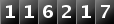 116217