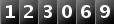 123069
