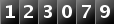 123079
