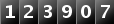 123907