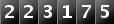 223175