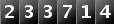 233714