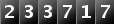 233717