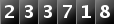 233718