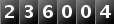 236004