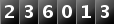 236013