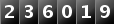 236019