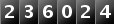 236024