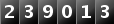 239013