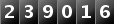 239016