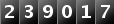 239017