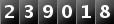 239018