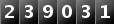239031