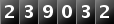 239032
