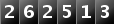 262513