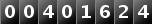 00401624