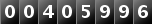 00405996