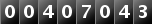 00407043