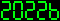 20226