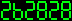 262828