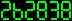 262838