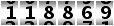 118869
