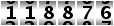 118876