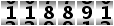 118891