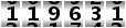 119631