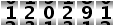 120291