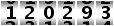 120293