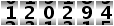 120294